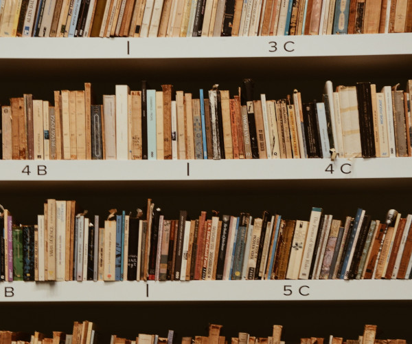 Books on bookshelf: Photo by Ekrulila from Pexels